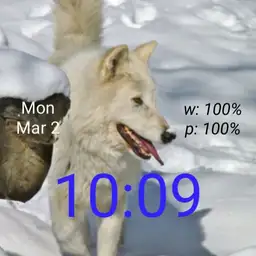 cjb wolf