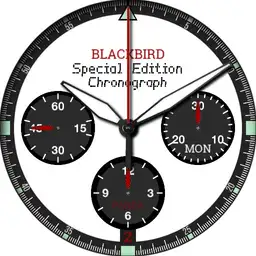 BLACKBIRD Sport Chronograph PANDA