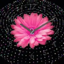 Night Flower