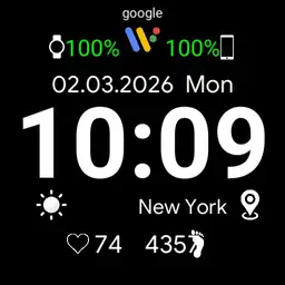 pixel watch v2 Copy