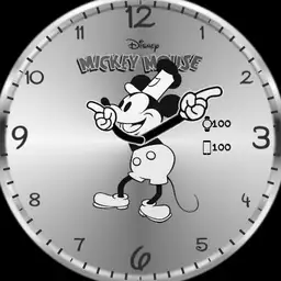 Covy Mickey mouse