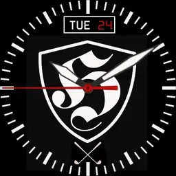 Hooligans Watch Copy
