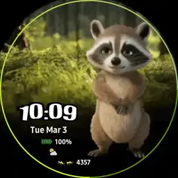 Rascally Raccoon
