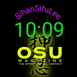 MartialArtsShihanSifuLee