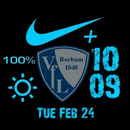 VfL Bochum