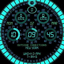 RADIAL GAGE 1