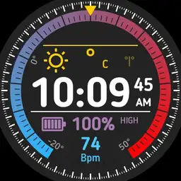 Brute Weather All In One Watch