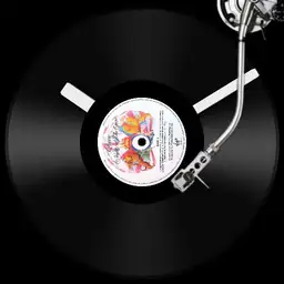 Vinyl Oxygene Night at the opera