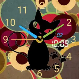 black cat