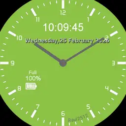 Dual watch