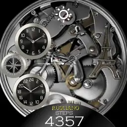 luxury watch