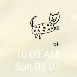 starry cat