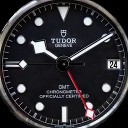 Tudor 2018 GMT
