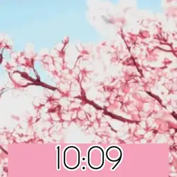 Cherry Blossom