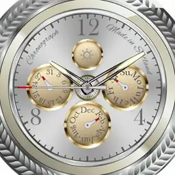 silver gold zoom final