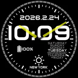 Digital analog watch