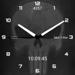 Punisher