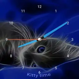 kitty