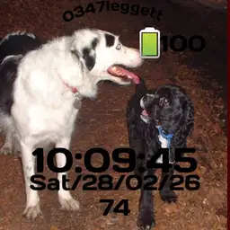 Pipsi & Max