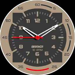 Brute BRAVO1 Military Field Watch Colours