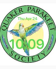 QPS Watch Face