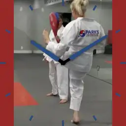 IC02 Kwondo Unleashed