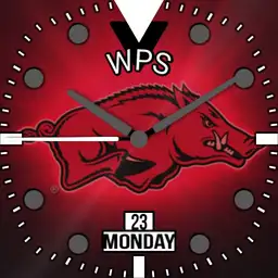 WPS Diver