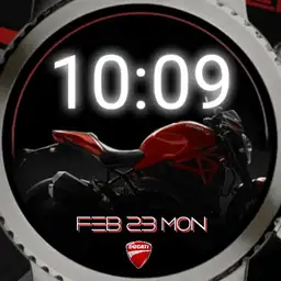ducati Copy
