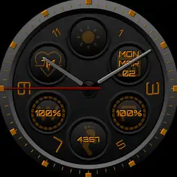 V5.2 Single Circles Silver Black