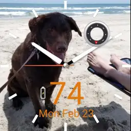 SammiBeachHrBig