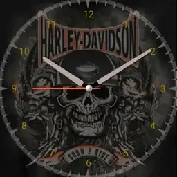 Harley-Davidson custom