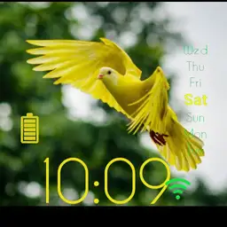 birdie