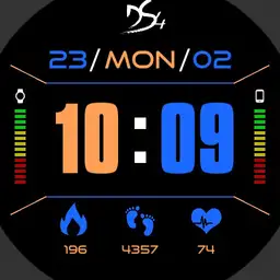 DS4 Watch