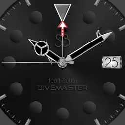 SB DIVEMASTER BH B