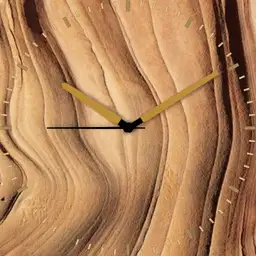Petrified Dunes