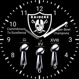 Raiders super bowl champs
