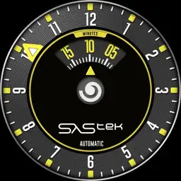 Sastek Time Speed Indicator
