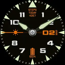 Aeromaster Pilot Copy