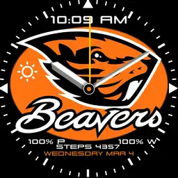 Beavs6