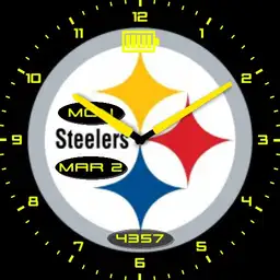 Steelers Copy