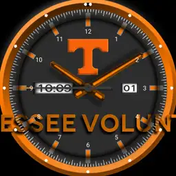 Justin King Tennessee Volunteers