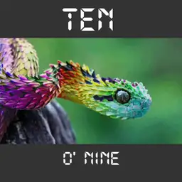 Bush Viper