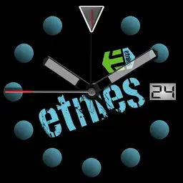 SB Etnies2 U Color Batt L