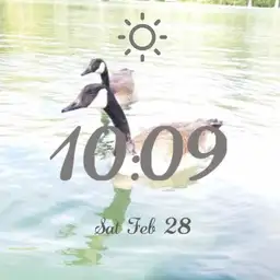 goose
