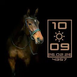 MEDVED.evg Animal 09