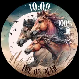 Horse 7