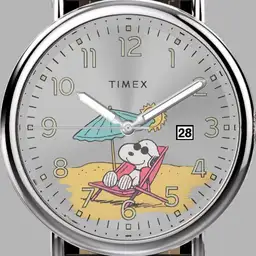 Snoopy Beach Colors