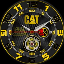 CAT-DINAMO