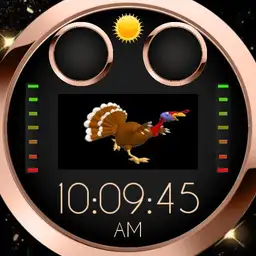 Thanksgiving turkey
