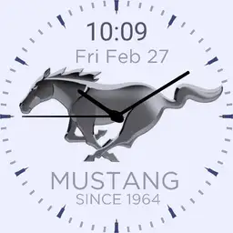 mystang grey